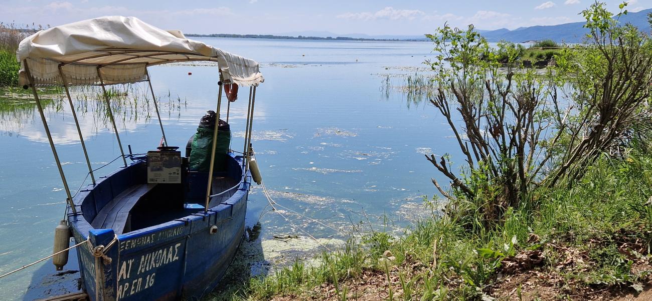 Our transport in Lake Kerkini